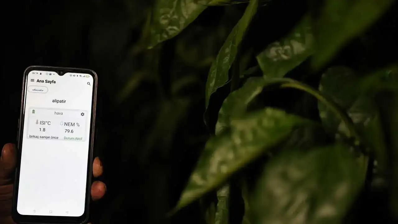 Antalya’da Don Nöbeti Tarihe Karışıyor 5